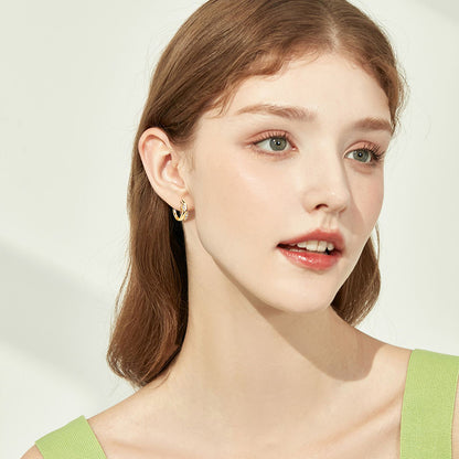 DEC Fashion Leaf Moissanite Earrings