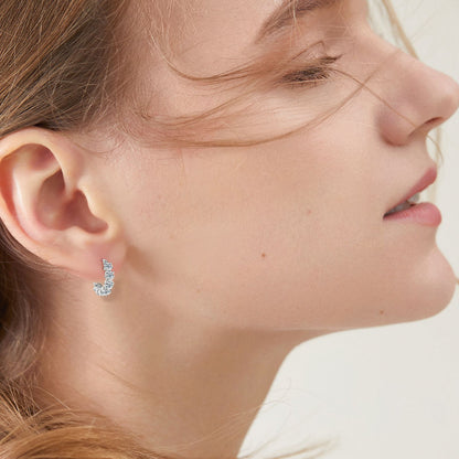 DEC Luxury Moissanite Earrings